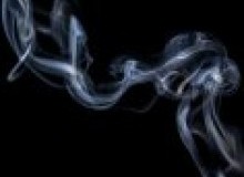 Kwikfynd Drain Smoke Testing
thedevilswilderness